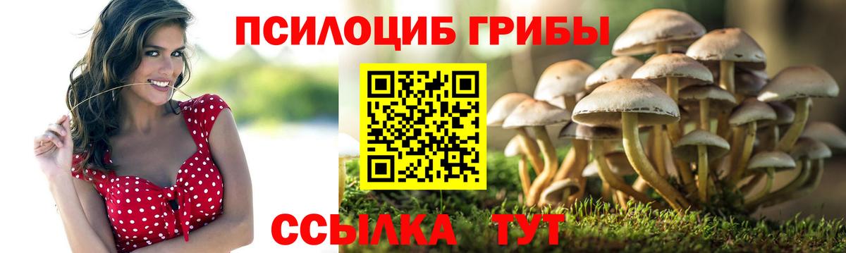 Галлюциногенные грибы Psilocybe  Вход с VPN  Артём 